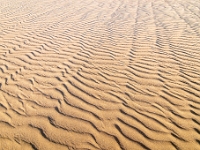 Dunes de Maspalomas